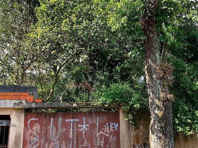 #5592 - Terreno para Venda em Santo André - SP - 3