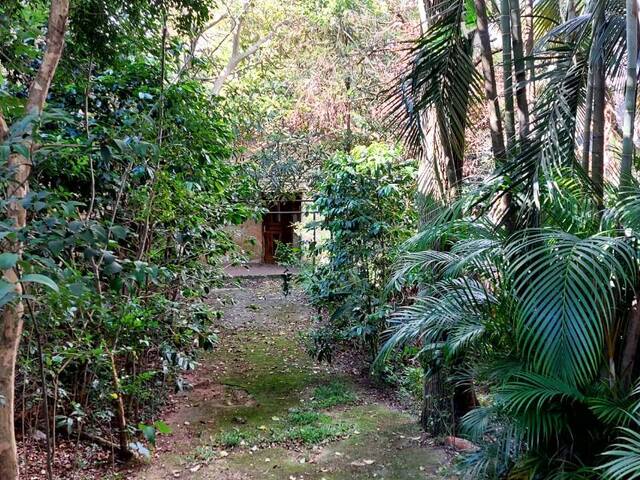 Terreno para Venda em Santo André - 4